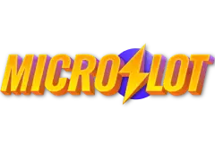 MICRO SLOT